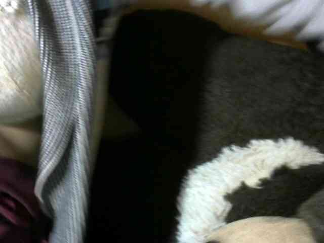 CAROLE71 webcam