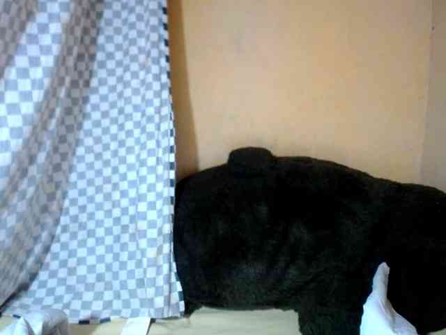 CAROLE71 webcam