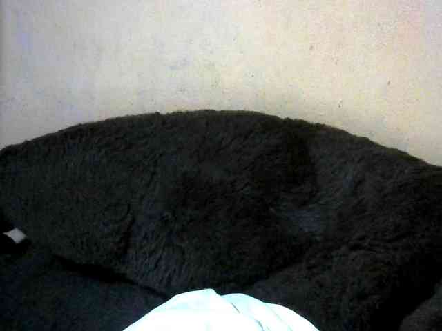 CAROLE71 webcam