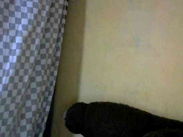 CAROLE71 webcam