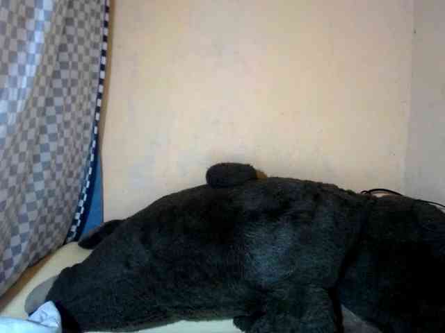 CAROLE71 webcam