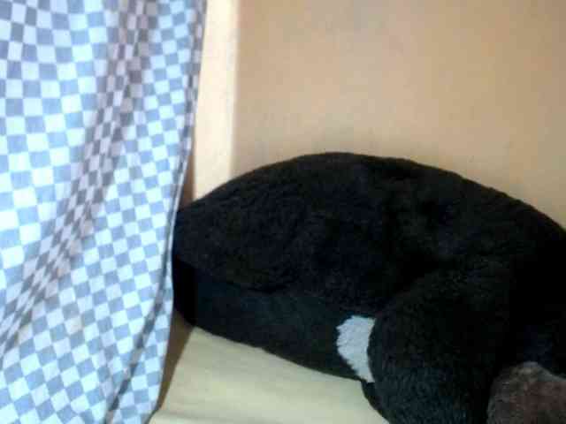 CAROLE71 webcam