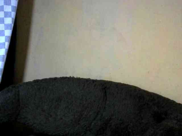 CAROLE71 webcam