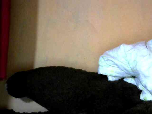 CAROLE71 webcam