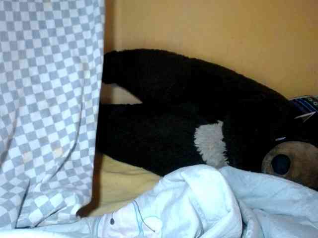 CAROLE71 webcam