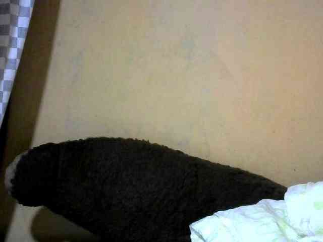 CAROLE71 webcam