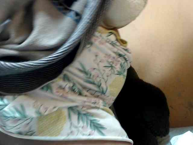 CAROLE71 webcam