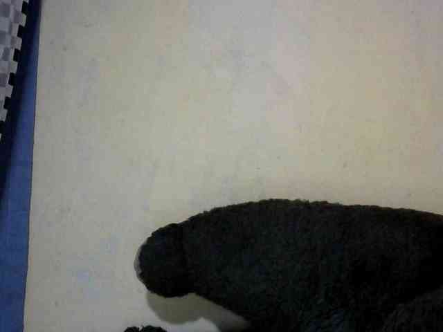 CAROLE71 webcam