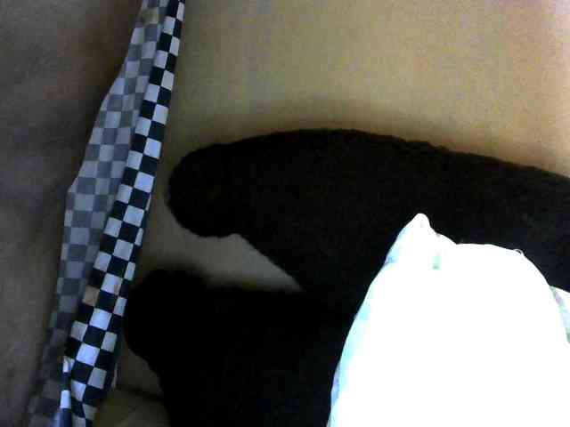 CAROLE71 webcam