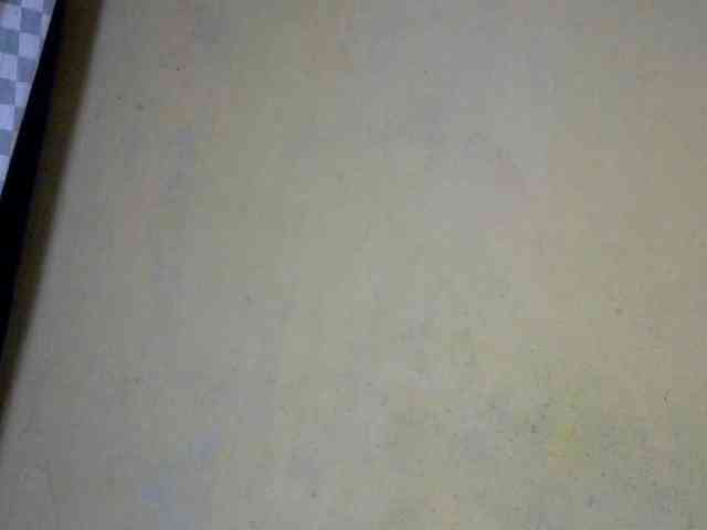 CAROLE71 webcam