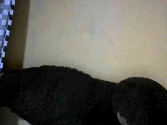CAROLE71 webcam