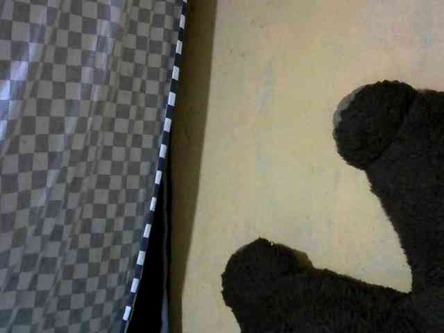 CAROLE71 webcam