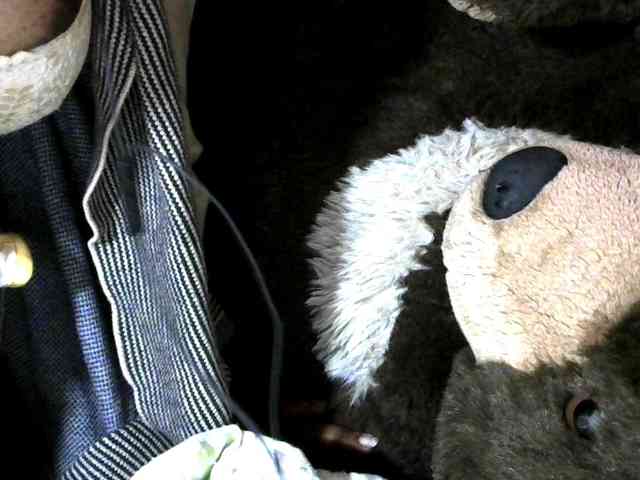 CAROLE71 webcam