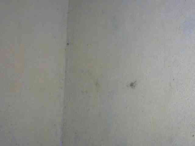 CAROLE71 webcam