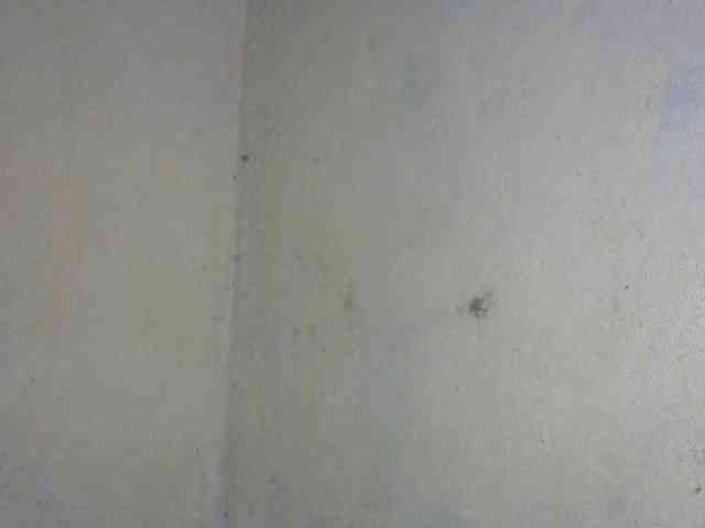 CAROLE71 webcam