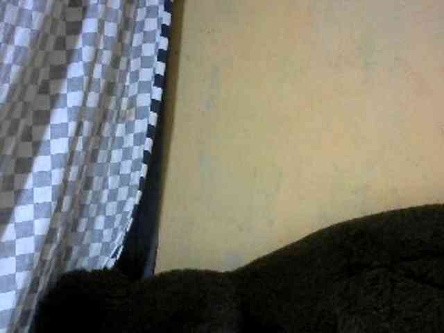 CAROLE71 webcam