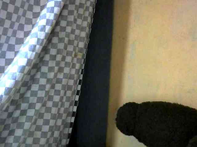 CAROLE71 webcam