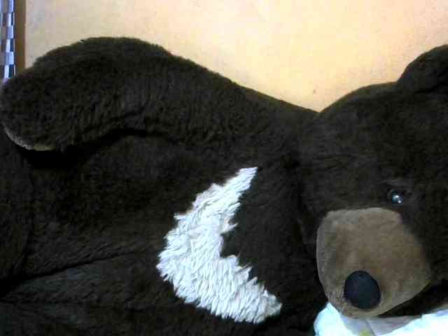 CAROLE71 webcam