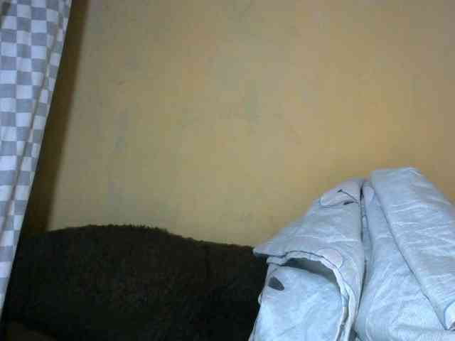 CAROLE71 webcam