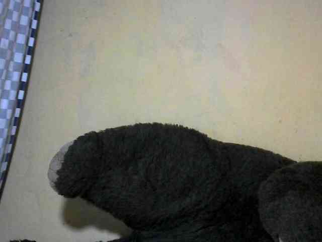 CAROLE71 webcam