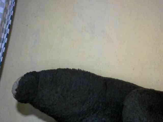CAROLE71 webcam