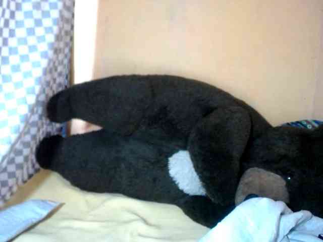 CAROLE71 webcam
