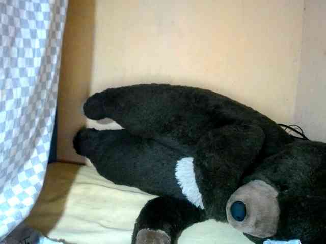 CAROLE71 webcam