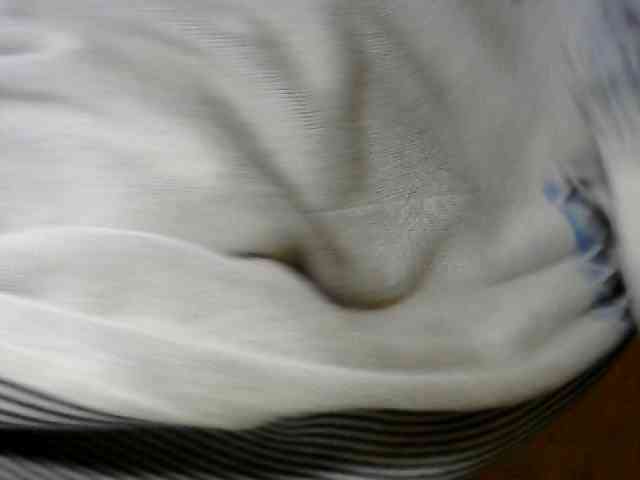 CAROLE71 webcam