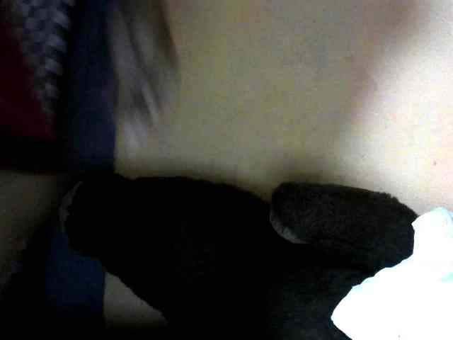 CAROLE71 webcam