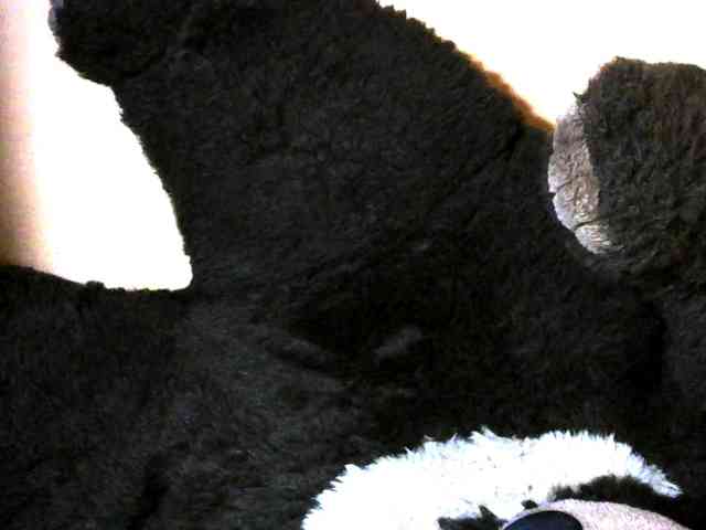 CAROLE71 webcam