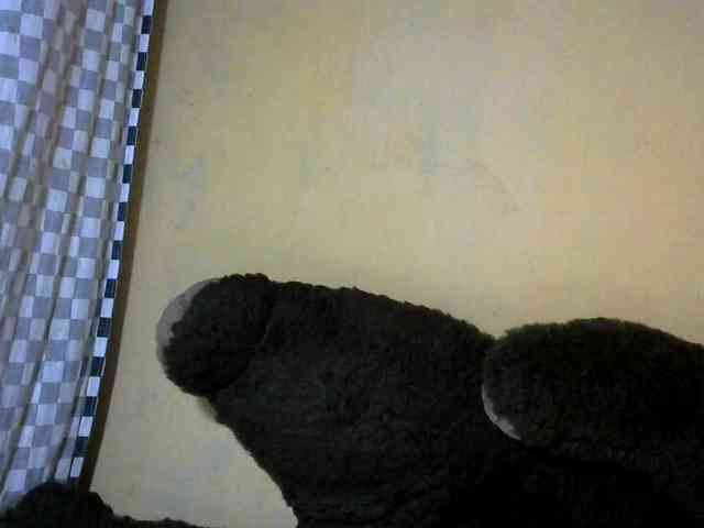CAROLE71 webcam