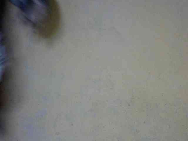 CAROLE71 webcam