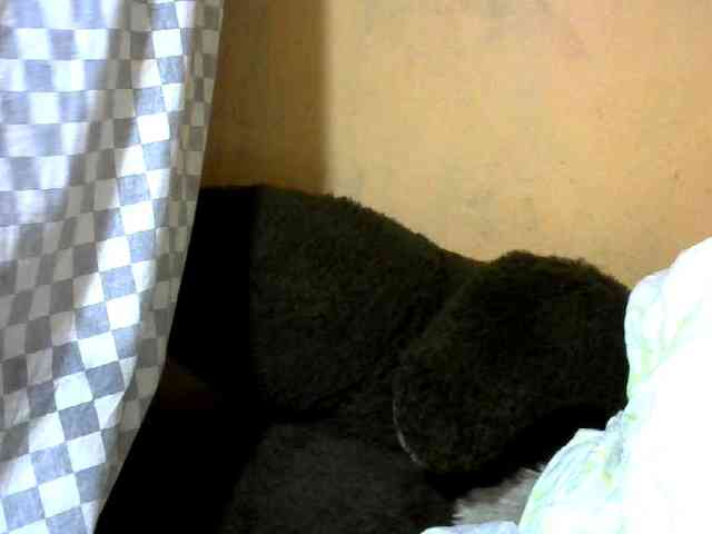 CAROLE71 webcam