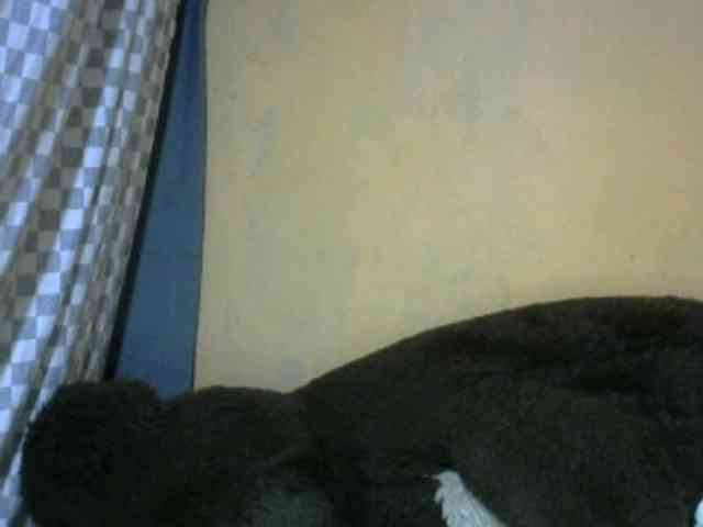 CAROLE71 webcam