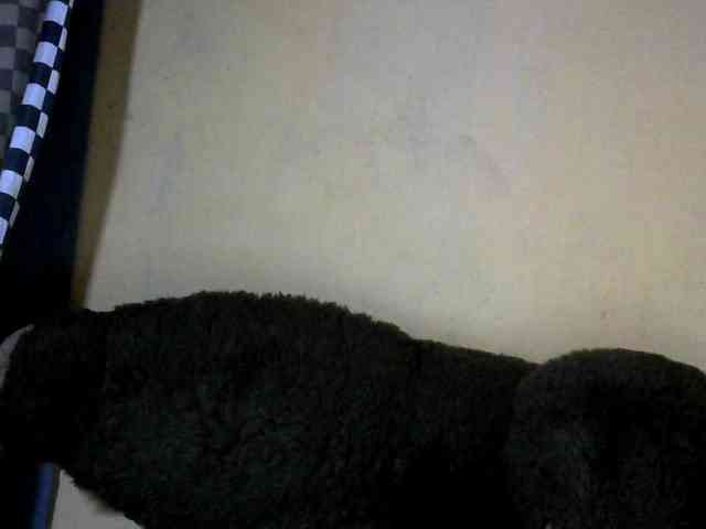 CAROLE71 webcam
