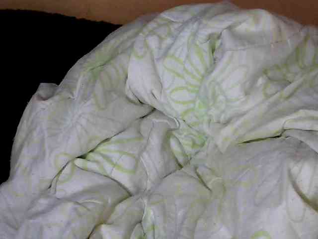 CAROLE71 webcam