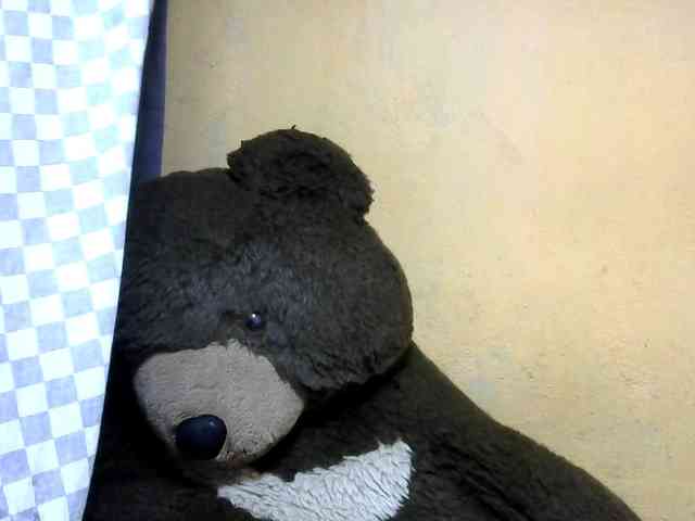 CAROLE71 webcam