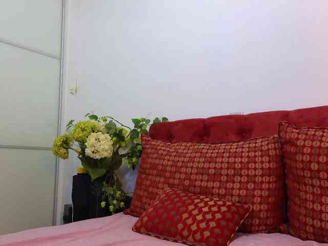 maddalena webcam
