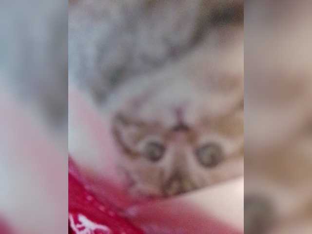 Bogina2's BongaCams show and profile