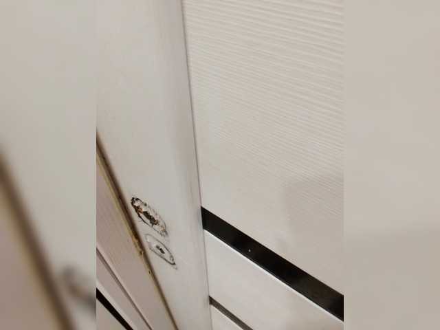 Preview of angeldolores