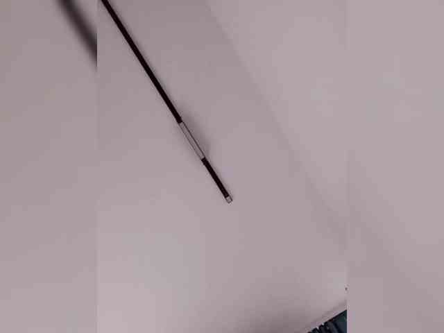 Bogina1 webcam