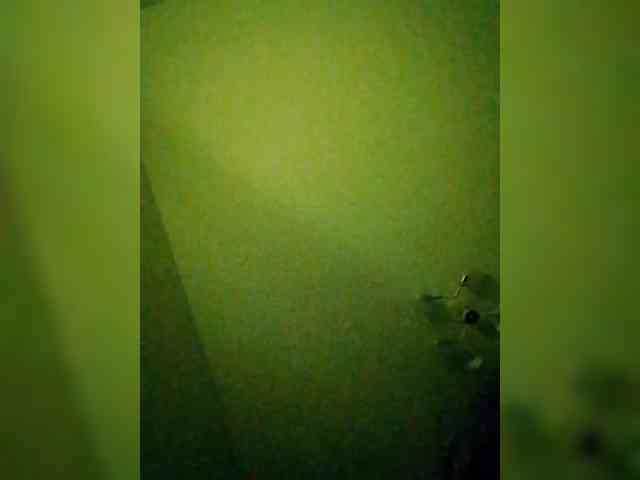 Bogina2 webcam