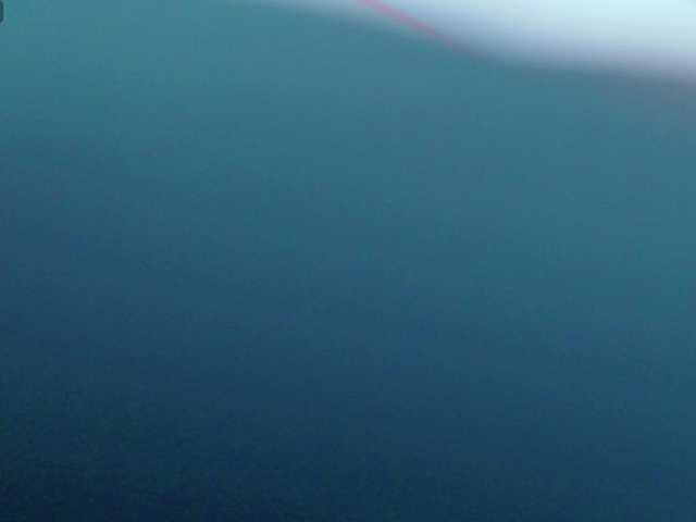 AvaWhitecastle from BongaCams