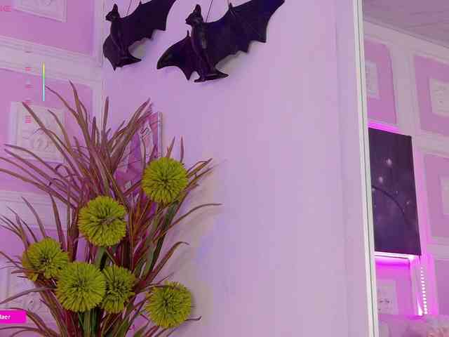 Sammyblaer Sammyblaer