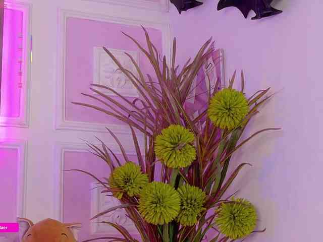 Sammyblaer Sammyblaer