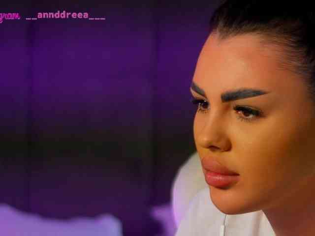 PerfectT33n webcam
