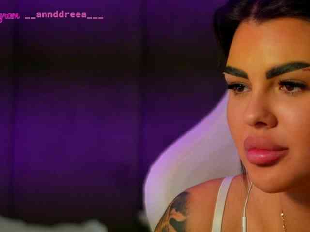 PerfectT33n webcam