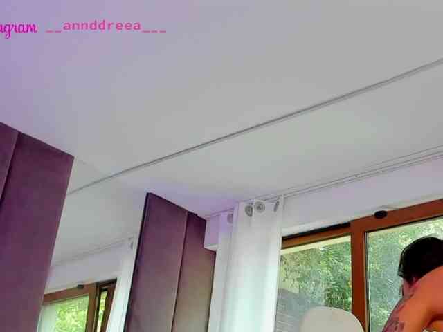 PerfectT33n webcam