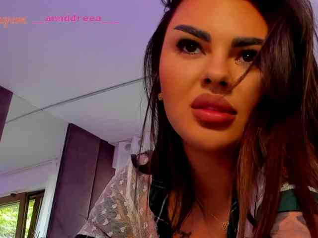 PerfectT33n webcam