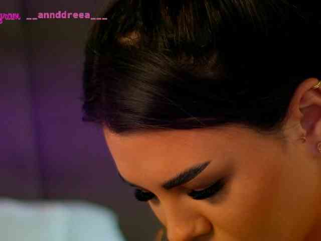PerfectT33n webcam